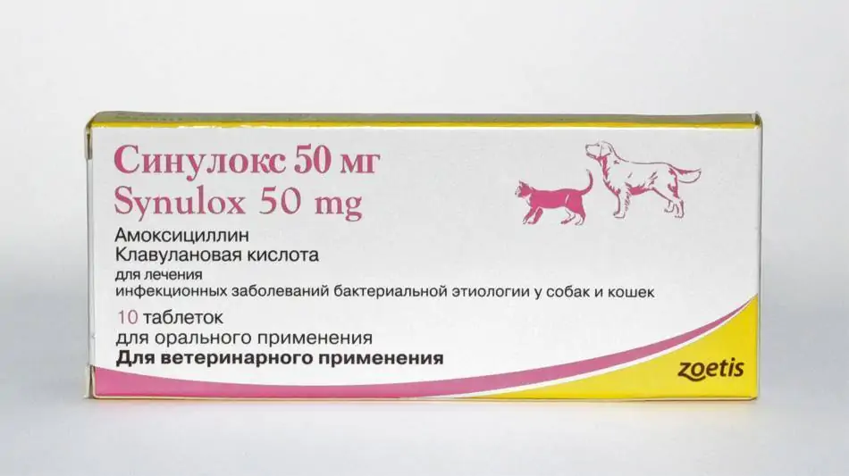 Синулокс таблетки, уп. 10 таб. по 50 мг срок до 03.2024 г купить недорого