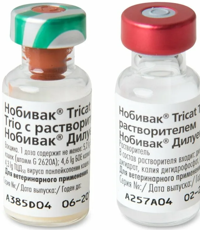 вакцина трикет