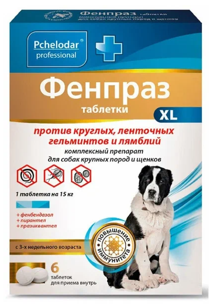 【千葉犬】インフェルノX 5BOX 千葉犬】インフェルノX 5BOX 千葉犬】インフェルノX 5BOX M2