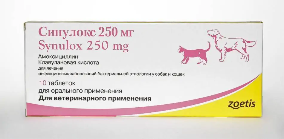 Синулокс таблетки, уп. 10 таб. по 250 мг петдог