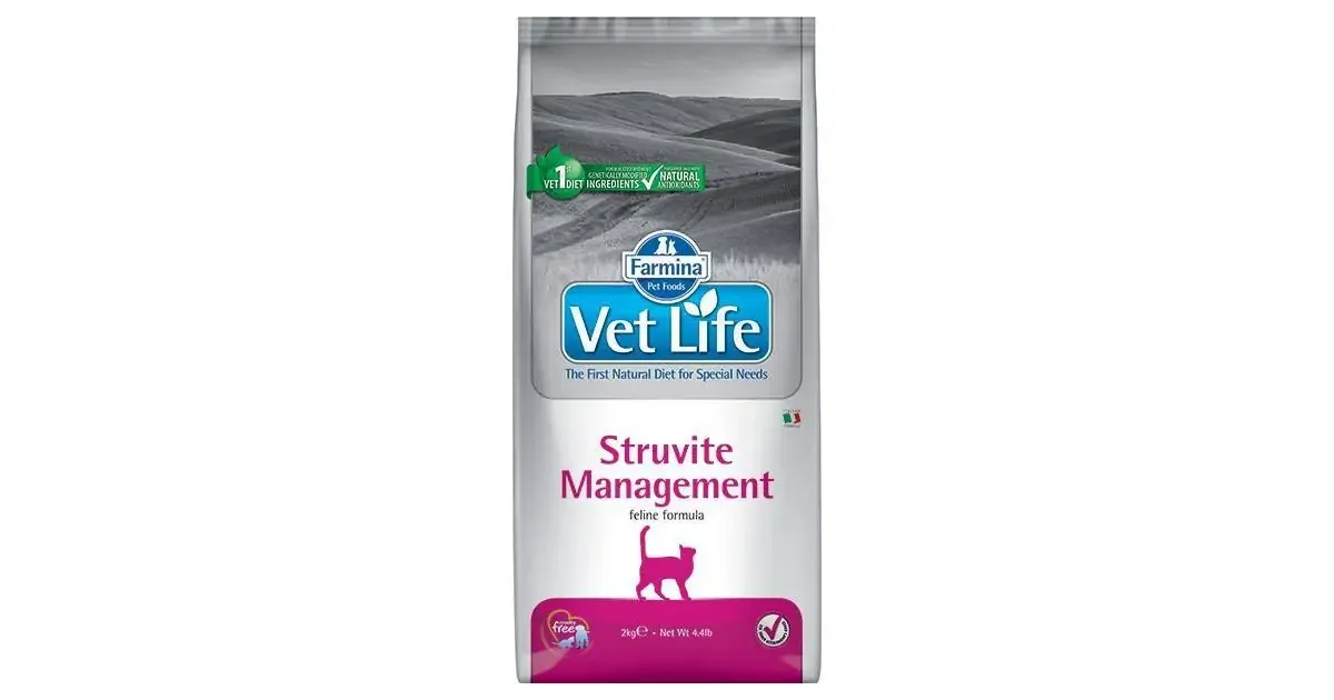 Struvite best sale cat food