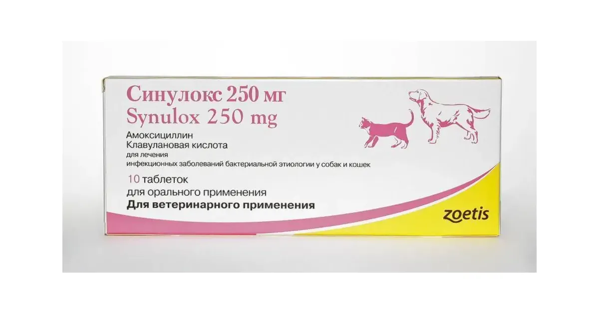 Синулокс 250 мг