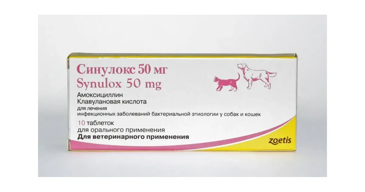 Купить синулокс для собак 500. Синулокс 500 мг таблетка. Синулокс Zoetis 50. Zoetis синулокс 50мг, 10таб. Синулокс для кошек 50 мг таблетки.