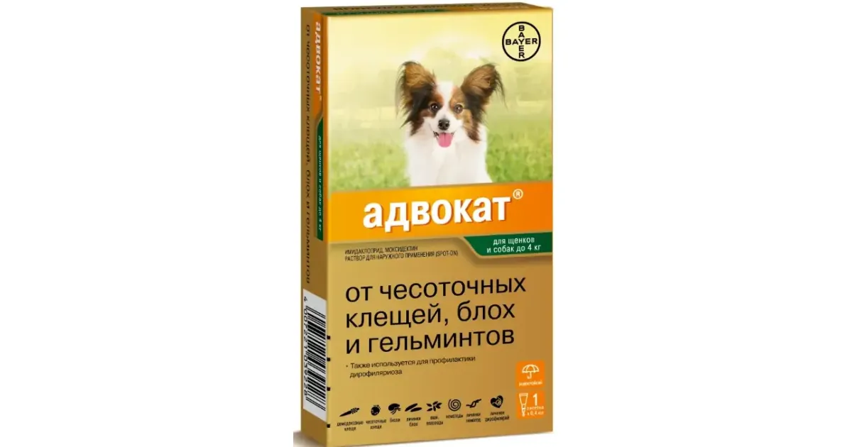 Адвокат для щенков 4 кг. Адвокат при демодекозе у собак схема лечения. Демодекоз у собак схема лечения отзывы.