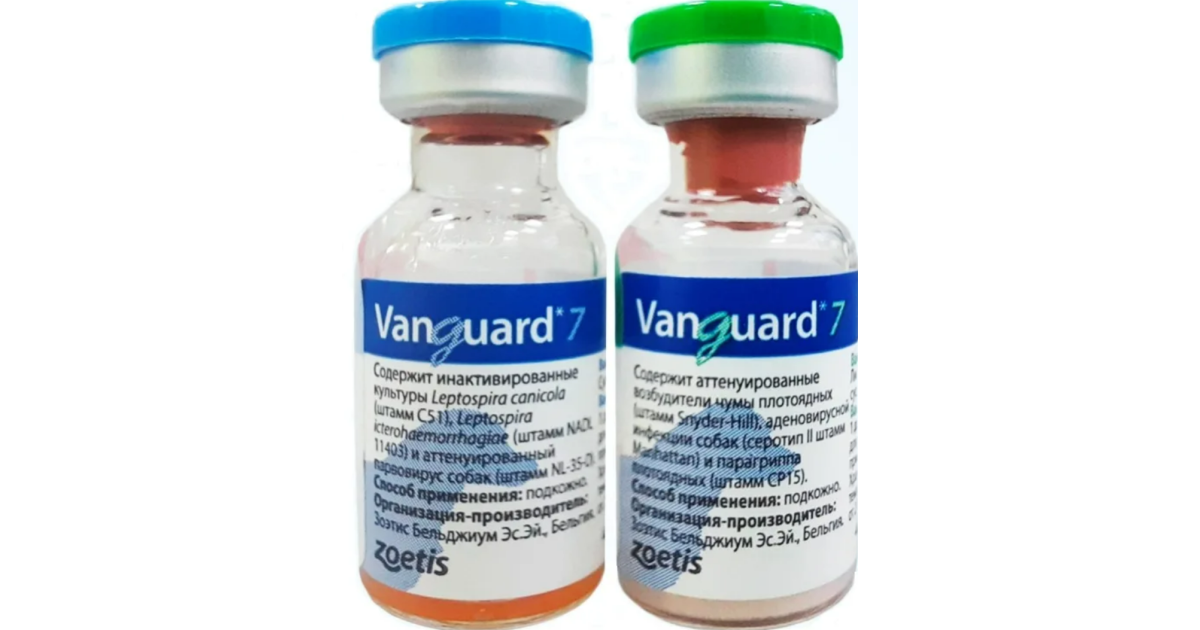 Вангард вакцина для собак. Вангард 5/l и Вангард 7.