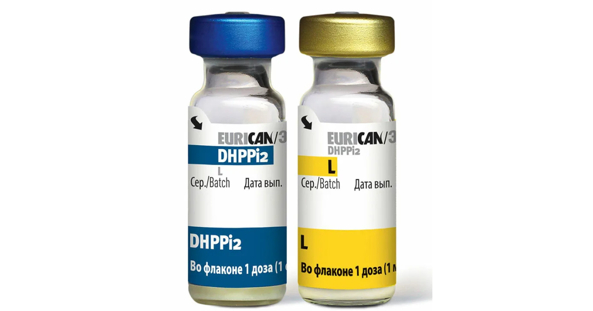 Вакцина dhppi lr. Эурикан dhppi2 RL. Эурикан LR И dhppi2. Эурикан ЛР для собак. Вакцина Биокан DHPPI+LR.