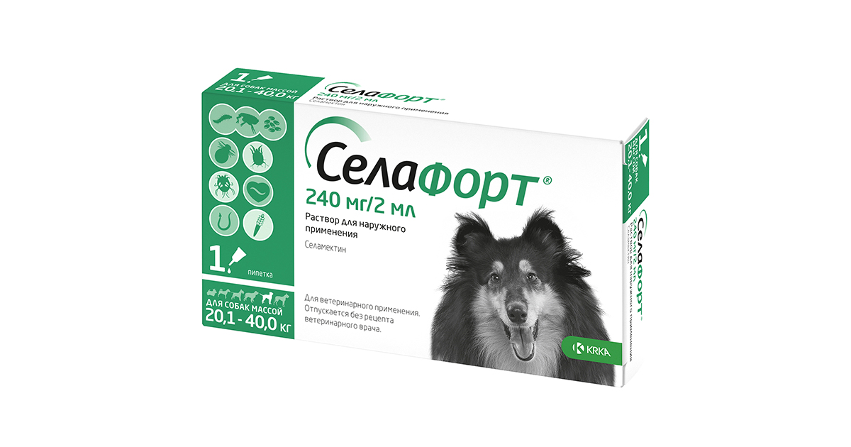 Селафорт 240 мг для собак 20,1-40 кг, 1 пипетка 2мл, 568152 купить в ...