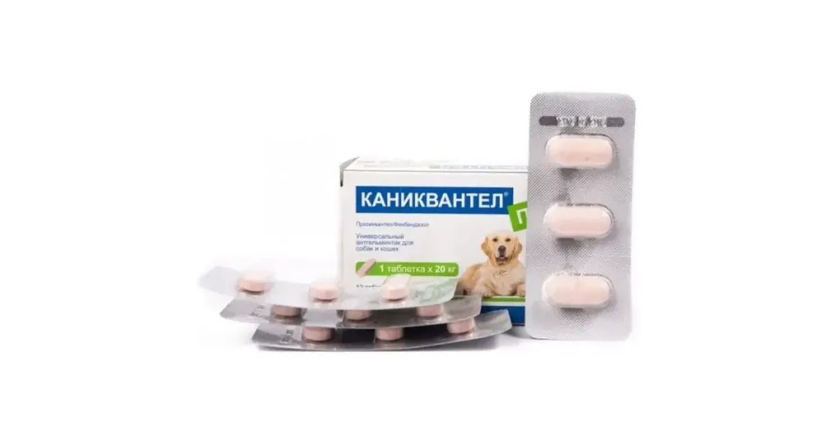 Каниквантел Плюс XL, блистер 3 таб. - купить в интернет-магазине PetDog